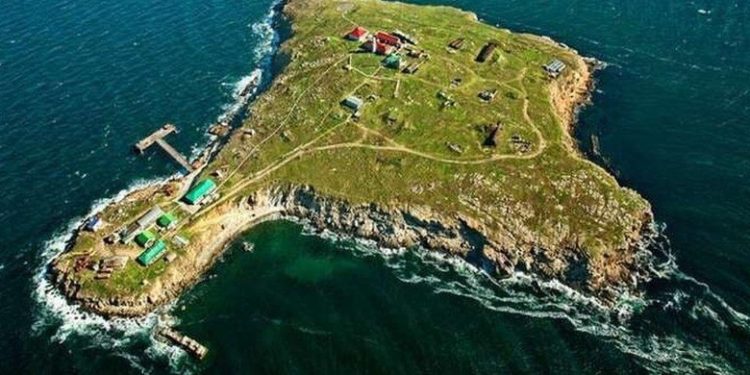 Rusia Mundur dari Pulau Ular Bukti Mustahil Taklukkan Ukraina