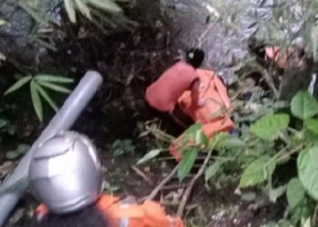 Sempat Dilaporkan Hilang, Purnawirawan TNI di Bali Ditemukan Tewas di Sungai Yeh Dati Tabanan