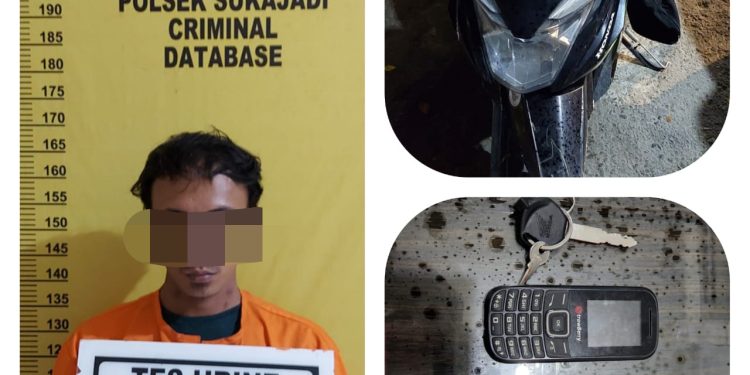 Gelapkan Sepeda Motor Ojol, Pemuda Asal Rumbai Ditangkap Polisi