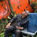Politisi Panama memposting SOS setelah helikopter jatuh di hutan
