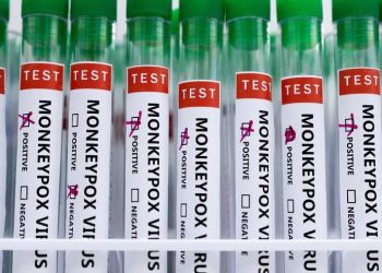 WHO mendesak agar berhati-hati setelah seekor anjing terkena cacar monyet di Paris