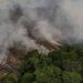 3.358 kebakaran terdeteksi dalam satu hari di Amazon Brasil, tertinggi sepanjang 15 tahun