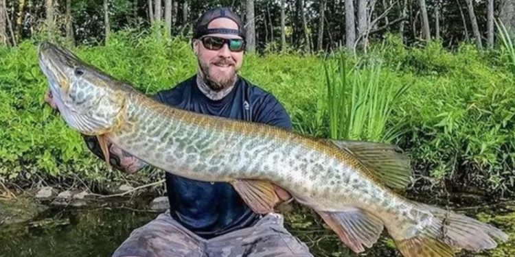Nelayan AS Tangkap Ikan ‘Monster’ Tiger Muskie, Membuat Warganet Terkejut