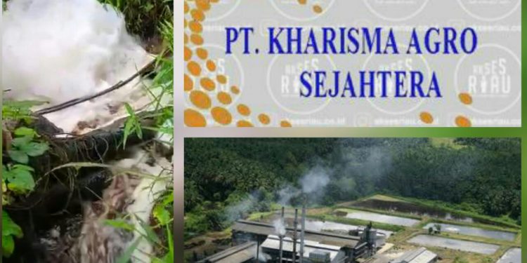 Sungai Lamlam Tercemar Limbah B3, Diduga karena Pabrik Sawit