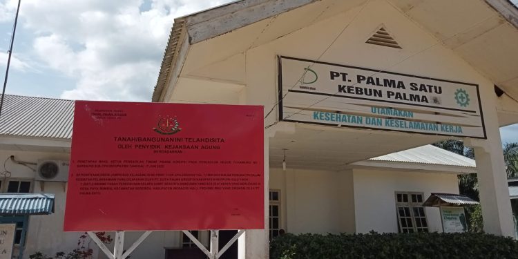 Dugaan Ikut Terlibat Korupsi PT Duta Palma, APMRB Inhu Minta Bupati Copot Kadisbun, Besok Demo