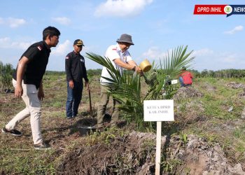 Ketua DPRD Inhil Bersama Forkopimda Lakukan Penanaman Kelapa Sawit PKSP di Tempuling