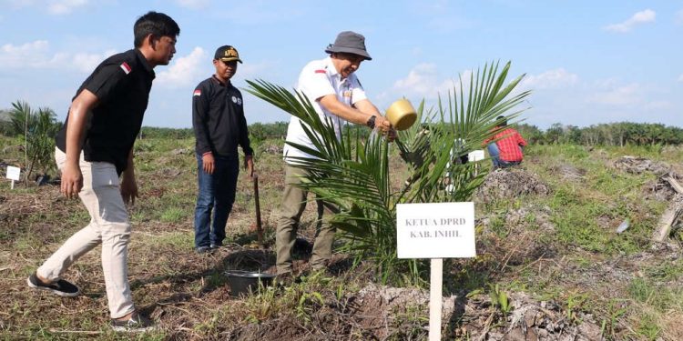 Ketua DPRD Inhil Bersama Forkopimda Lakukan Penanaman Kelapa Sawit PKSP di Tempuling