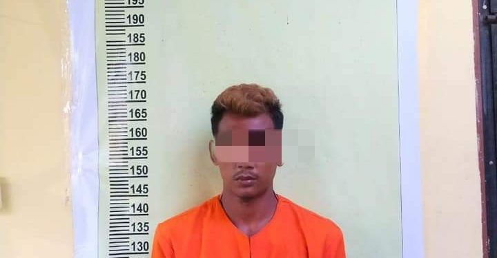 Sempat Kabur, Pelaku Pencabulan Dua Orang Bocah Di Bunut Akhirnya Ditangkap Polsek Siak Hulu
