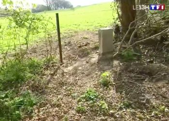 Ngakunya Ingin Inspirasi Masyarakat, YouTuber Ini Ditangkap setelah Ketahuan Tempati Lahan Ilegal