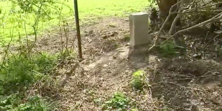 Ngakunya Ingin Inspirasi Masyarakat, YouTuber Ini Ditangkap setelah Ketahuan Tempati Lahan Ilegal