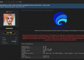 Bjorka Retas Data Pemerintah, Demokrat Pedas Singgung PeduliLindungi