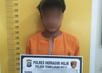 Curi Gerobak Kandang Ayam Warga, Pemuda di Inhil Diamankan Polisi