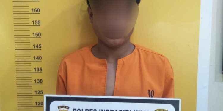 Curi Gerobak Kandang Ayam Warga, Pemuda di Inhil Diamankan Polisi