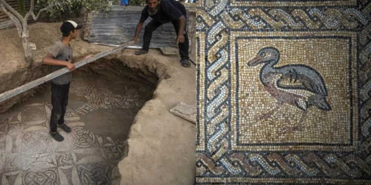 Petani Palestina menggali mosaik era Bizantium di Gaza saat menanam pohon zaitun