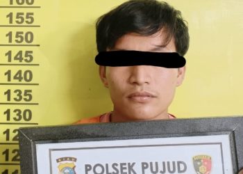 Cabuli Anak 12 tahun, Pemuda di Rohil Diamankan Polisi