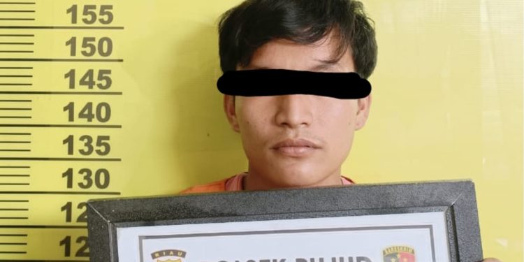 Cabuli Anak 12 tahun, Pemuda di Rohil Diamankan Polisi