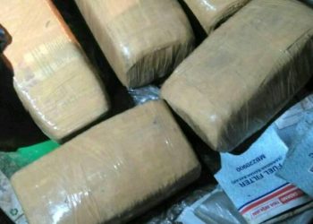 Pura-pura ke Gudang, Napi Lapas Ambil Ganja yang Dilemparkan dari Luar Lapas