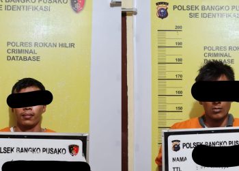 Curi Kabel Optik PLN, Dua Pemuda Rohil Diangkut Polisi
