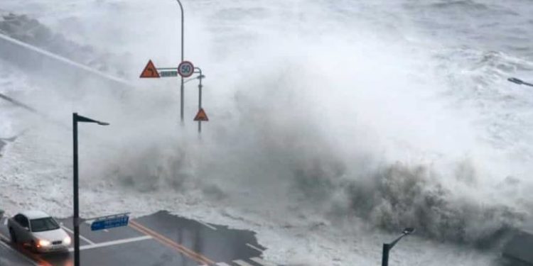 Ribuan orang mengungsi saat Topan Hinnamnor melanda Korea Selatan