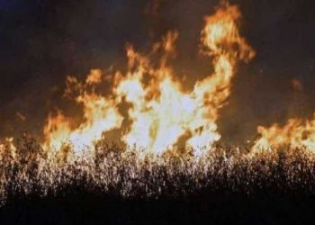 Bak neraka, pemanasan global memicu gelombang panas, kebakaran hutan, dan polusi udara di seluruh dunia