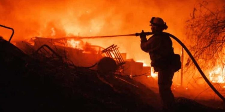 Tragis! Dua orang tewas dalam kebakaran hutan Fairview di California Selatan