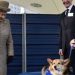 Pangeran Andrew akan mewarisi corgis kesayangan Ratu Elizabeth II