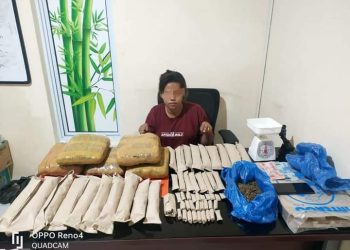 6,5 Kilo Daun Ganja Kering bersama Wanita Muda di Tangkap Satres Narkoba Polres Kampar