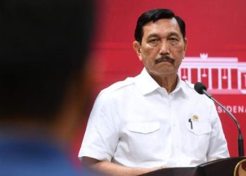 Luhut: Jokowi Ingin Tambah Besaran Dana Desa Tahun Depan