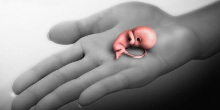 Malu Hamil Diluar Nikah, Siswi SMA di Kendari Aborsi Janin Lalu Dikubur, Pacar dan Orang Tua Terlibat