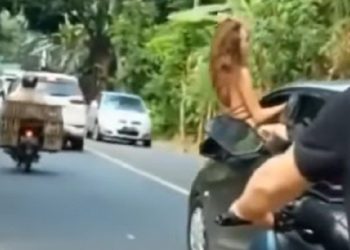 Viral Bule di Bali Joget di Jendela Mobil yang Melaju, Polisi Buru Pelaku