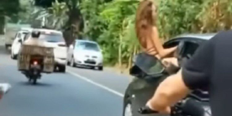 Viral Bule di Bali Joget di Jendela Mobil yang Melaju, Polisi Buru Pelaku