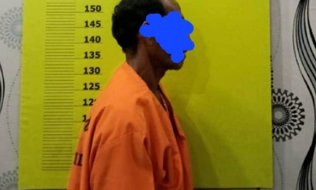 Setubuhi Anak Tiri Hingga Sembilan Kali, Ayah Bejat di Rohil Diringkus Polisi