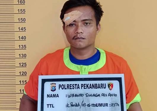 Maling HP Pasien Rumah Sakit, Wiranto Ditangkap Polisi