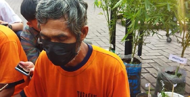 Tanam Ganja Untuk Obati Tetangganya, Petani di Malang Diangkut Polisi