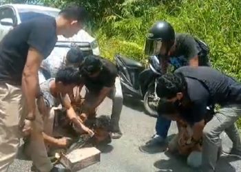 Dijanjikan Upah Rp15 Juta Sebagai Kurir Narkoba, Pria Ini Ditangkap saat Antar Barang yang Ketiga