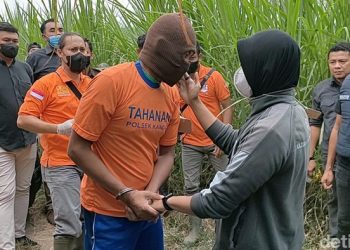 Tolak Bercinta di Tepi Sawah, Ibu Muda Tewas Dicekik Teman Suami