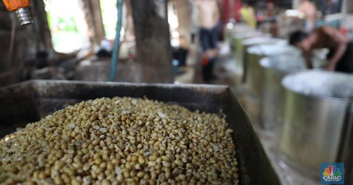 Stok Kedelai Beneran Tipis? Begini Kata Kepala Badan Pangan