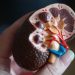 Heboh Sakit Ginjal Anak, 4 Obat Batuk Ini Diduga Penyebabnya