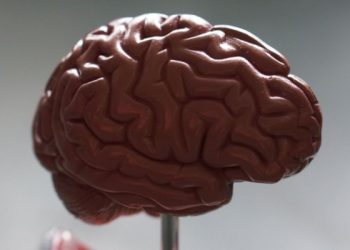 Studi: Asupan Omega-3 Pelihara Otak pada Usia Paruh Baya