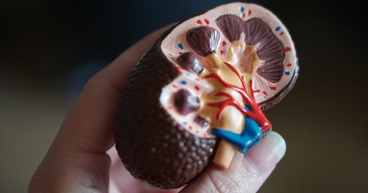 Orang Tua Simak! Lakukan Ini Agar Anak tak Kena Gagal Ginjal