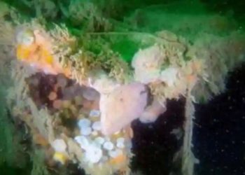 Bangkai kapal Perang Dunia II masih mencemari dasar laut Laut Utara 80 tahun setelah tenggelam