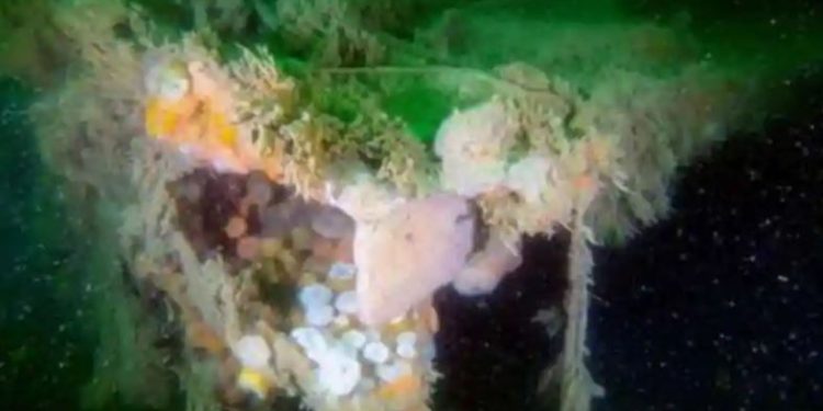 Bangkai kapal Perang Dunia II masih mencemari dasar laut Laut Utara 80 tahun setelah tenggelam