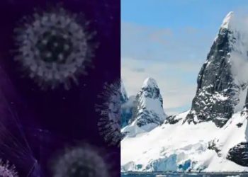 Setelah virus corona, pandemi berikutnya diperkirakan datang dari gletser yang mencair