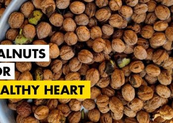 Manfaat Kesehatan Kenari: Apakah Akhrot Membantu dalam Mencegah Penyakit Jantung?