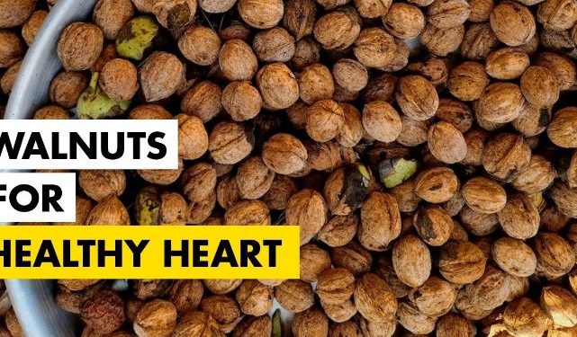 Manfaat Kesehatan Kenari: Apakah Akhrot Membantu dalam Mencegah Penyakit Jantung?