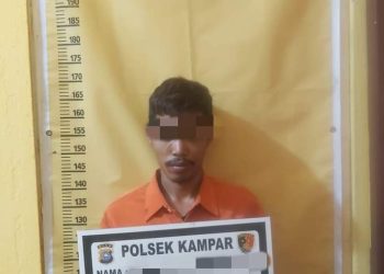 Rusak Kaca Jendala, Pria di Kampar Curi Handphone Warga