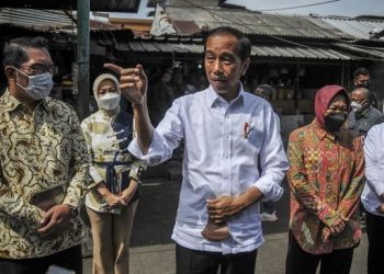 Jokowi Akui Punya Rencana Reshuffle Kabinet