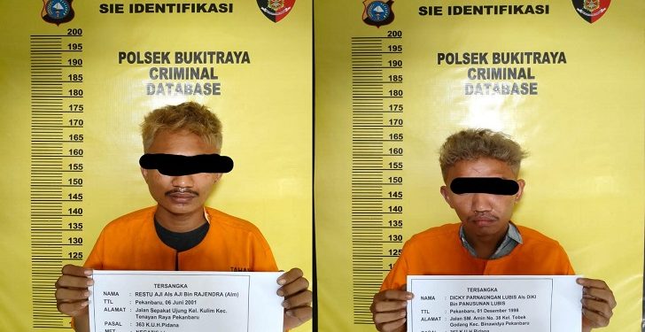 Aksinya Terekam CCTV, 2 Maling Motor Jamaah Masjid di Pekanbaru Ditangkap Polisi