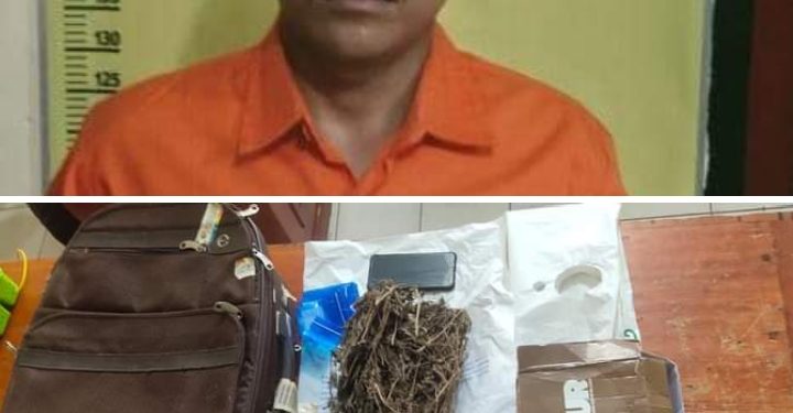 Simpan Daun Ganja Kering di Kotak Sepatu, Pemuda Ini di Ringkus Polsek Tapung