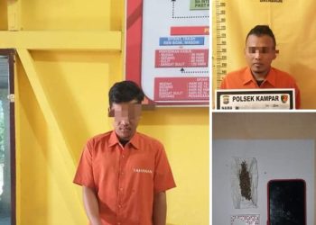 Dua Pelaku Pengedar Daun Ganja di Ringkus Polsek Kampar